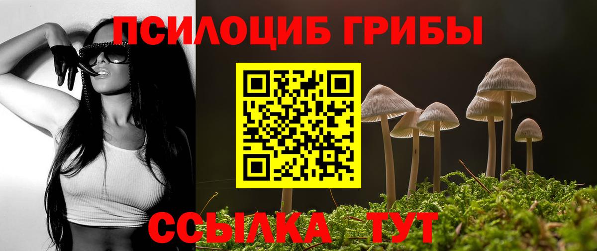 Псилоцибиновые грибы прущие грибы  где купить наркотик  Жуковский  Вход с VPN 
